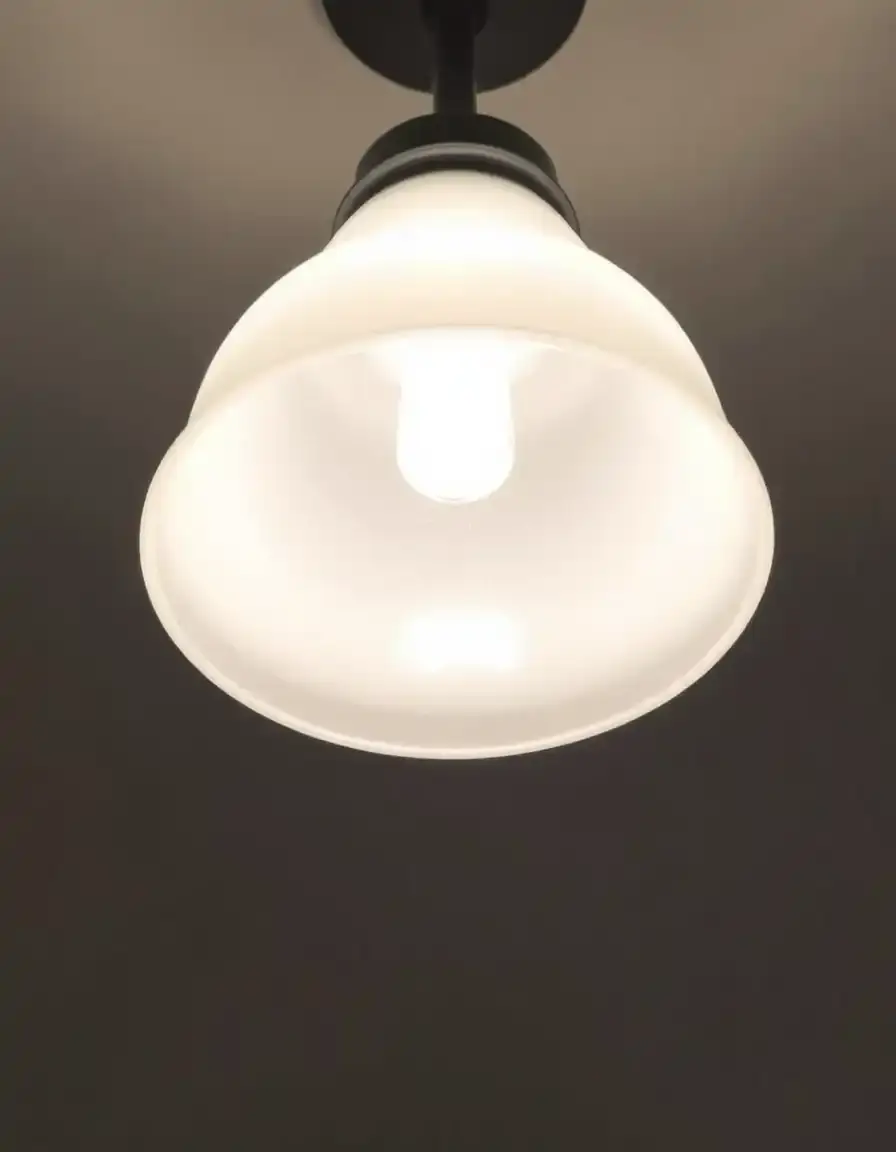 Remplacement d'abat-jour en verre dépoli pour lustre