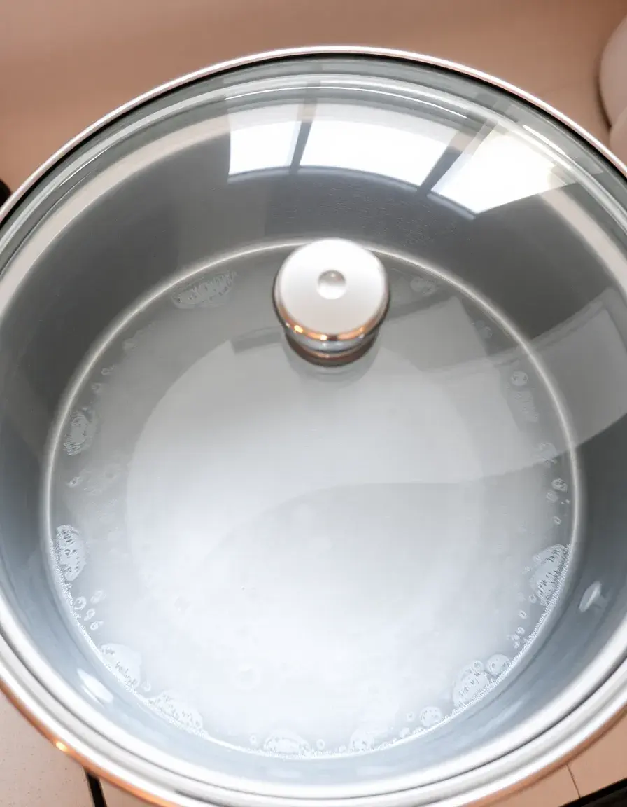 Grande marmite en inox avec couvercle en verre